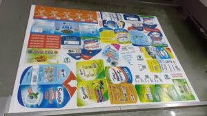 WhatsApp Image 2025-12-17 at 5.11.09 PM